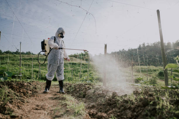 Best Commercial Pest Control Services  in Garrison, ND