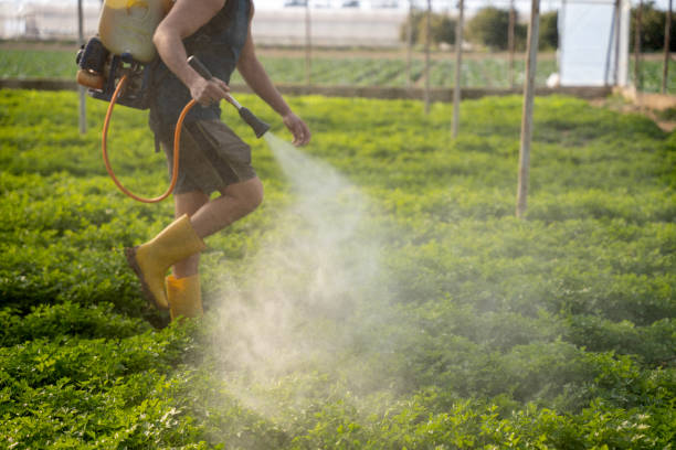 Best Local Pest Control Services  in Garrison, ND