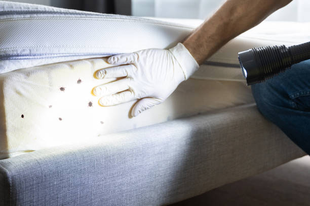 Best Pest Control Treatment  in Garrison, ND